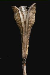 Image: Trevor James © Trevor James 